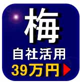 プライバシーマーク取得　「自社活用」【梅】コース詳細